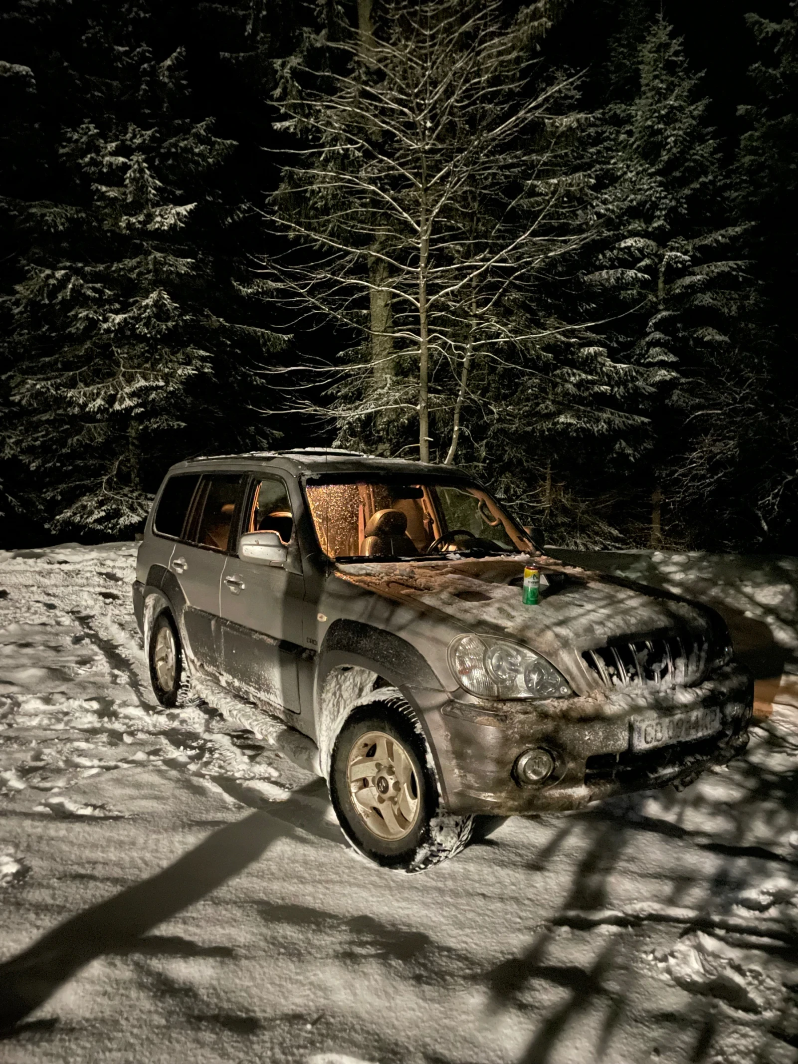 Hyundai Terracan 2.9 CRDI | Mobile.bg � ����������� 16