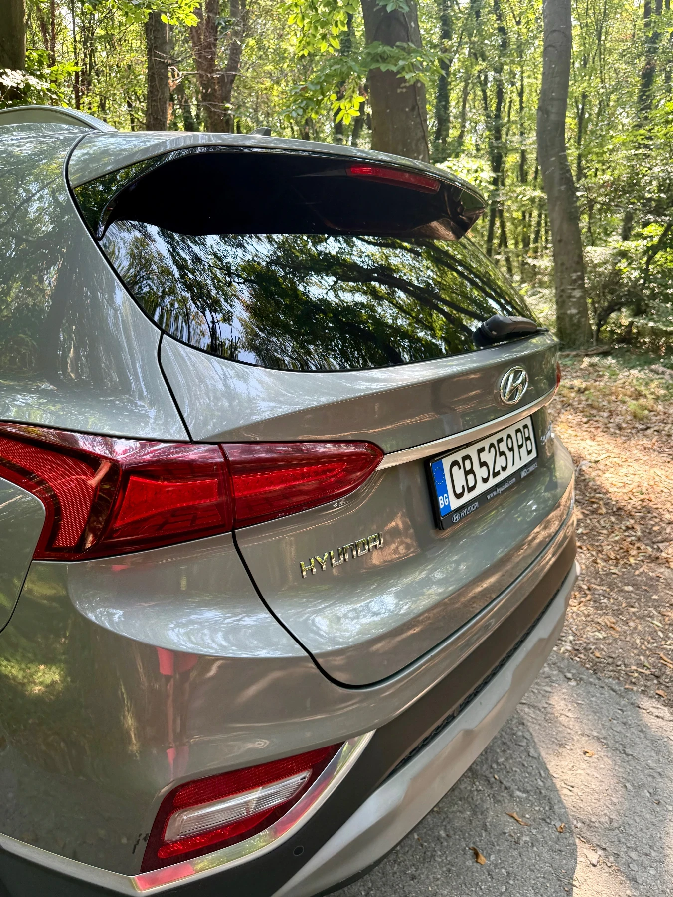 Hyundai Santa fe, снимка 5 - Автомобили и джипове - 56126767