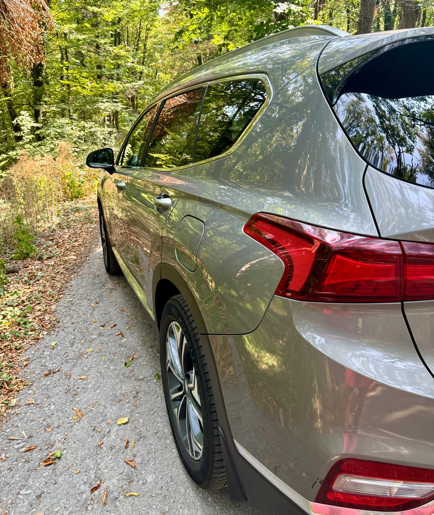 Hyundai Santa fe, снимка 6 - Автомобили и джипове - 56126767