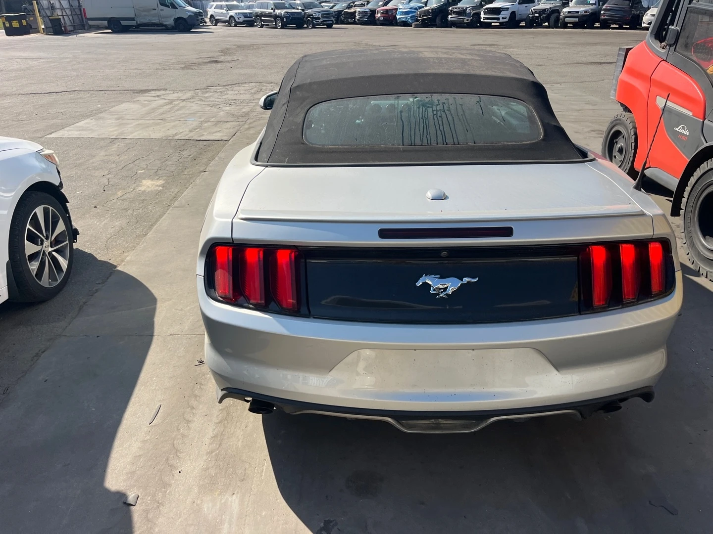 Ford Mustang 2.3 ECOBOOST| ����| �������| ������.| ������� ���� | Mobile.bg � ����������� 3