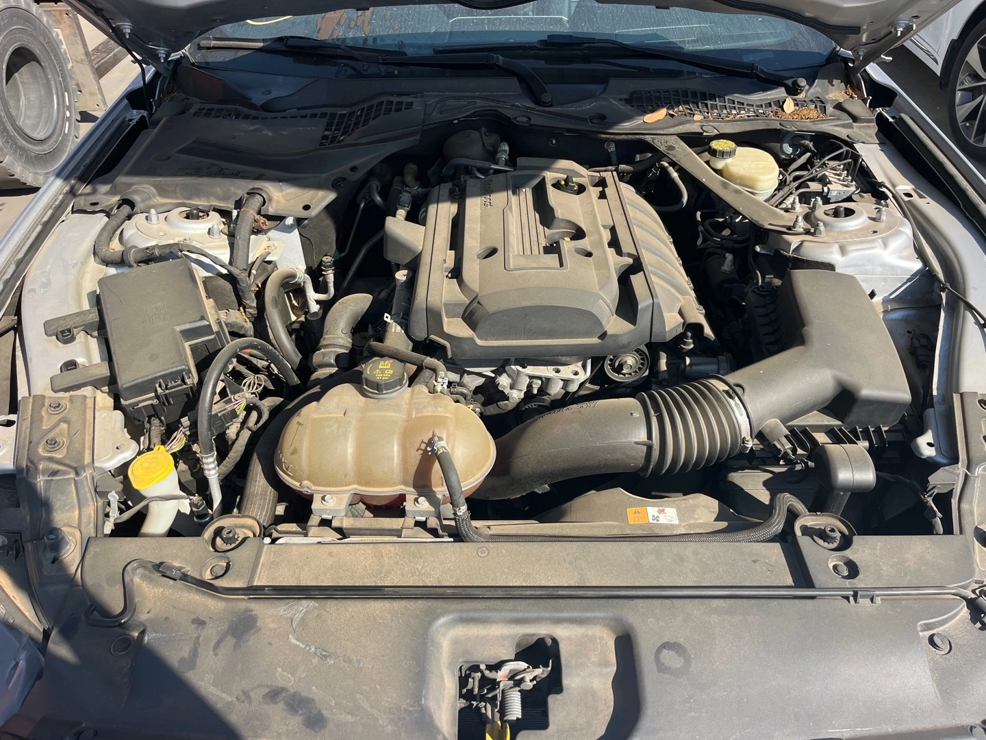 Ford Mustang 2.3 ECOBOOST| ����| �������| ������.| ������� ���� | Mobile.bg � ����������� 8