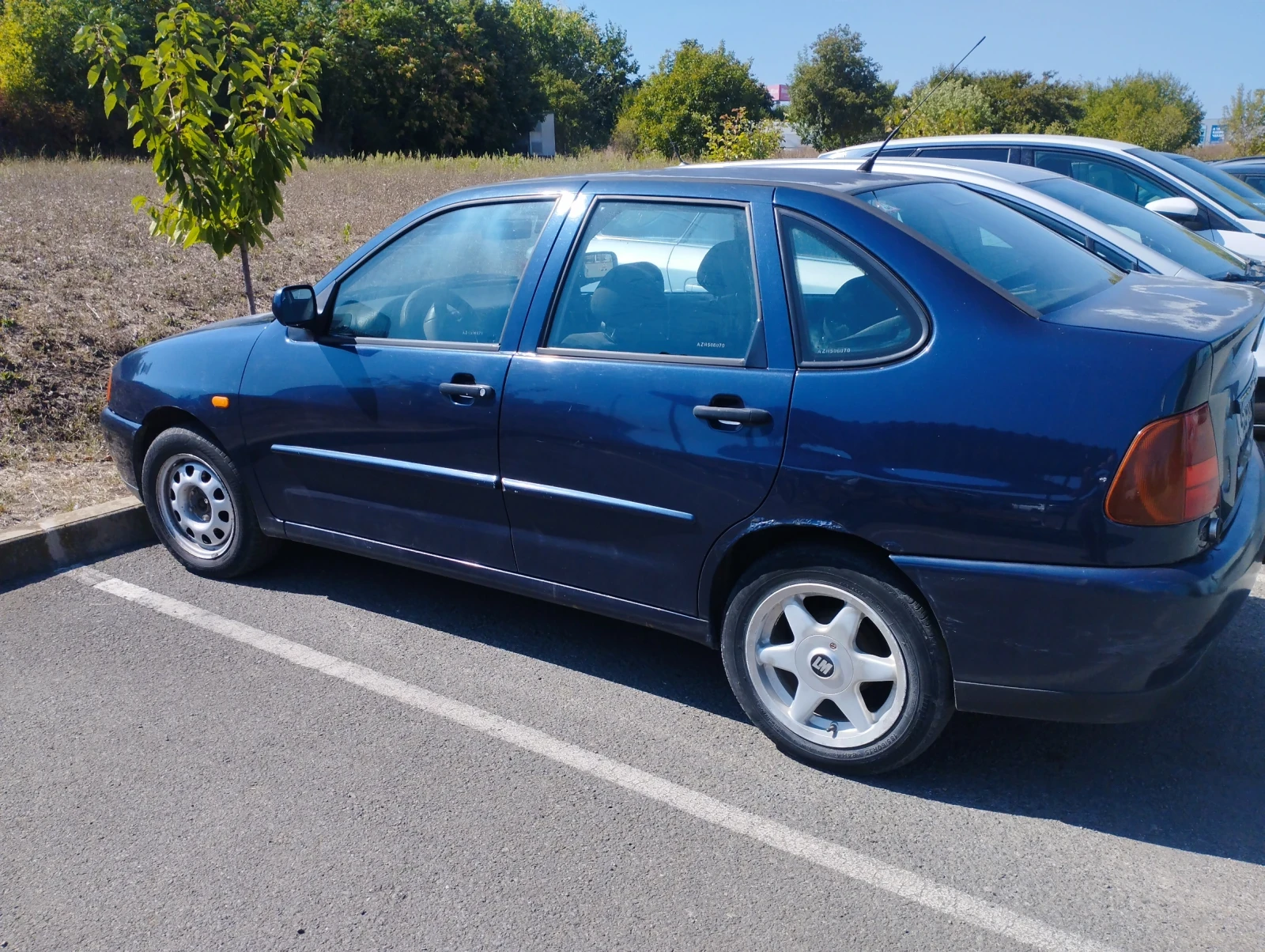 VW Polo