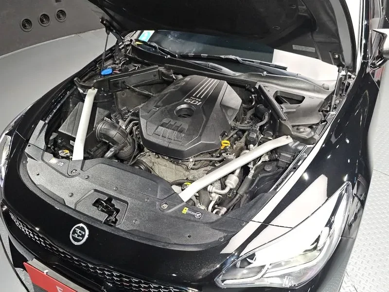 Kia Stinger 2.0 Turbo 2Wd Platinum, снимка 6 - Автомобили и джипове - 55787319