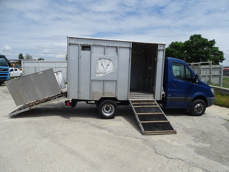 Mercedes-Benz Sprinter 519   КАТ. * Б*  ЖИВОТНОВОЗ* * Климатик* * , снимка 6 - Бусове и автобуси - 50322874