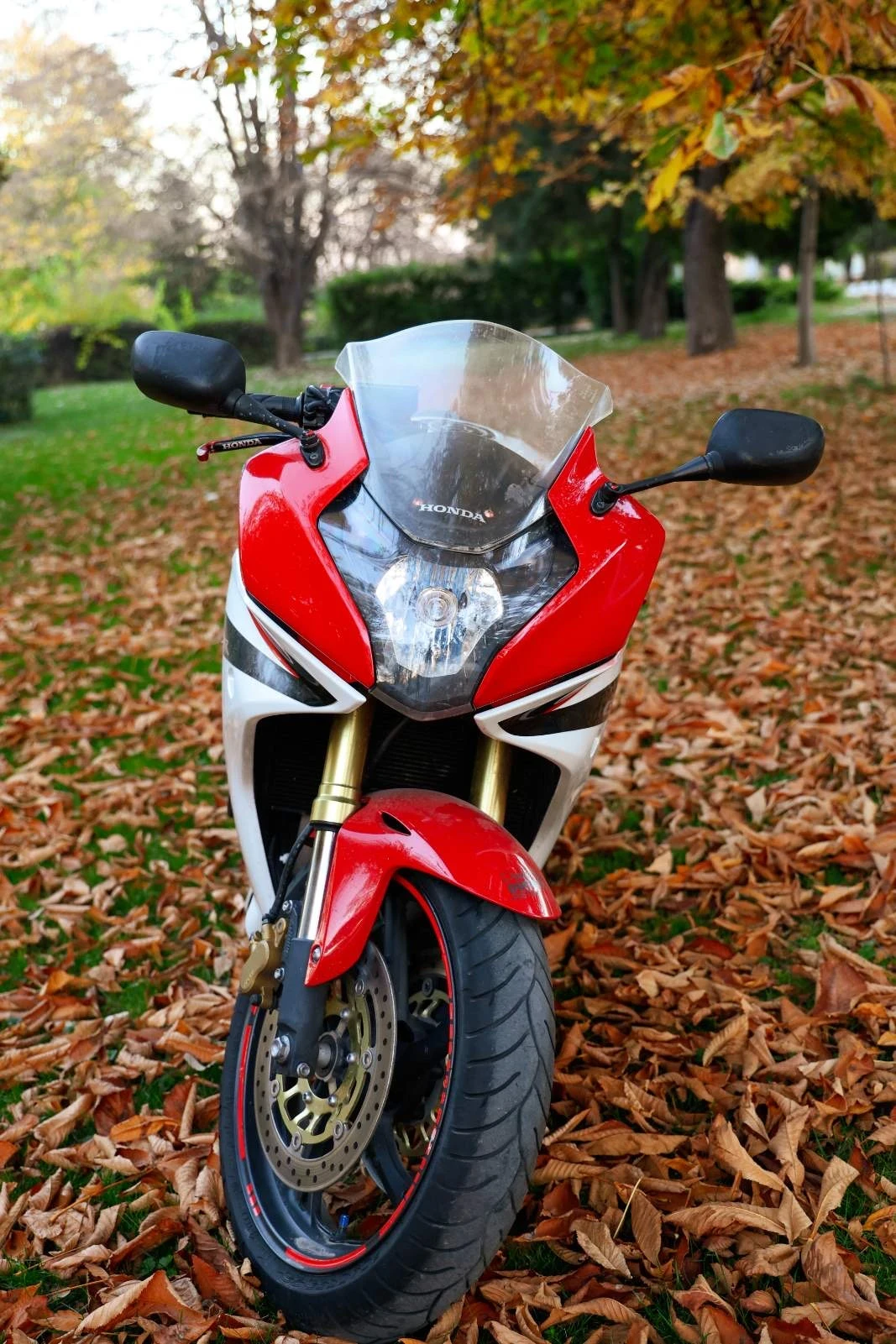 Honda Cbr CBR 600 F - изображение 3