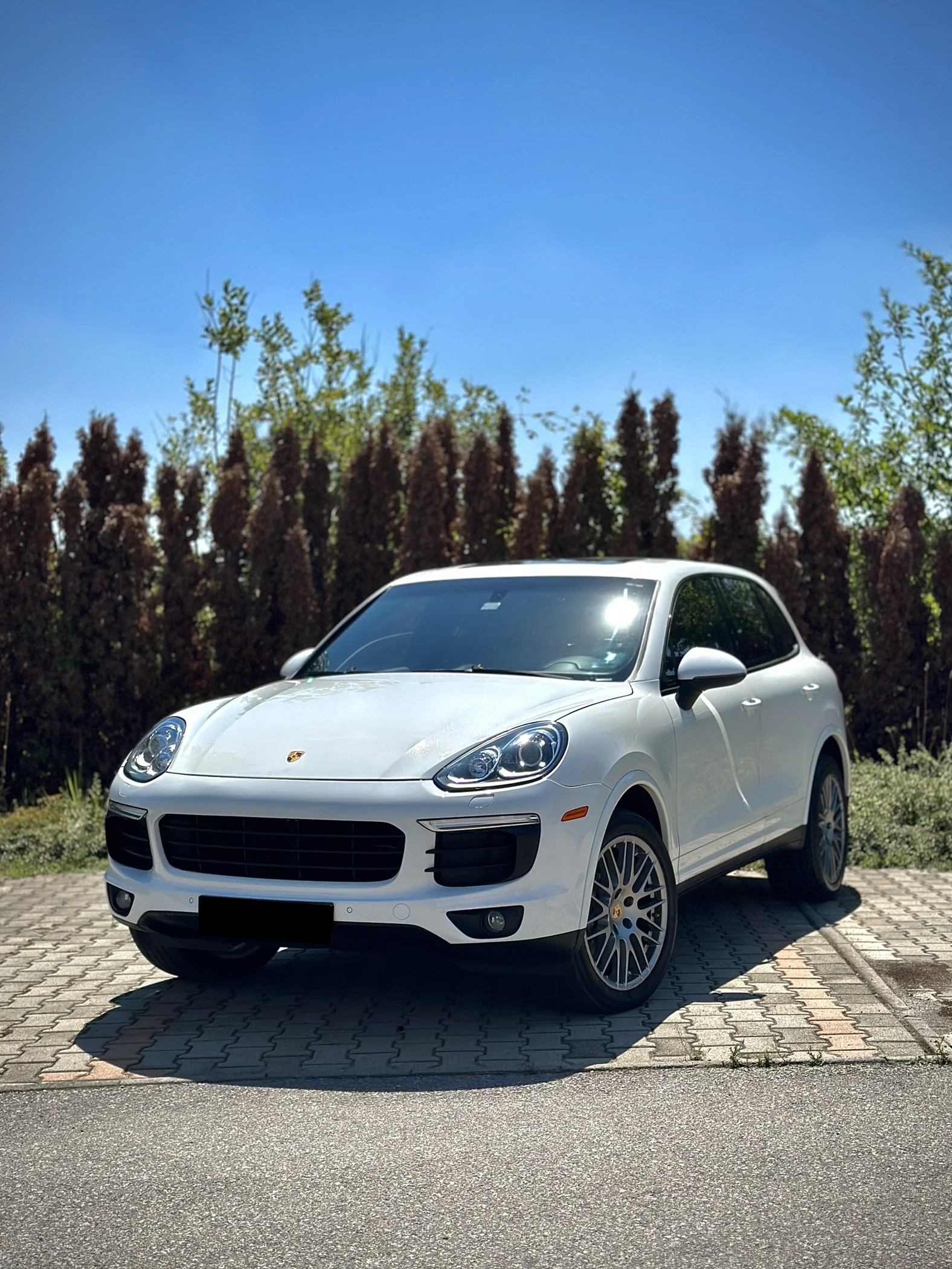 Porsche Cayenne 3.6 V6 Platinum Edition / ЛИЗИНГ, снимка 1