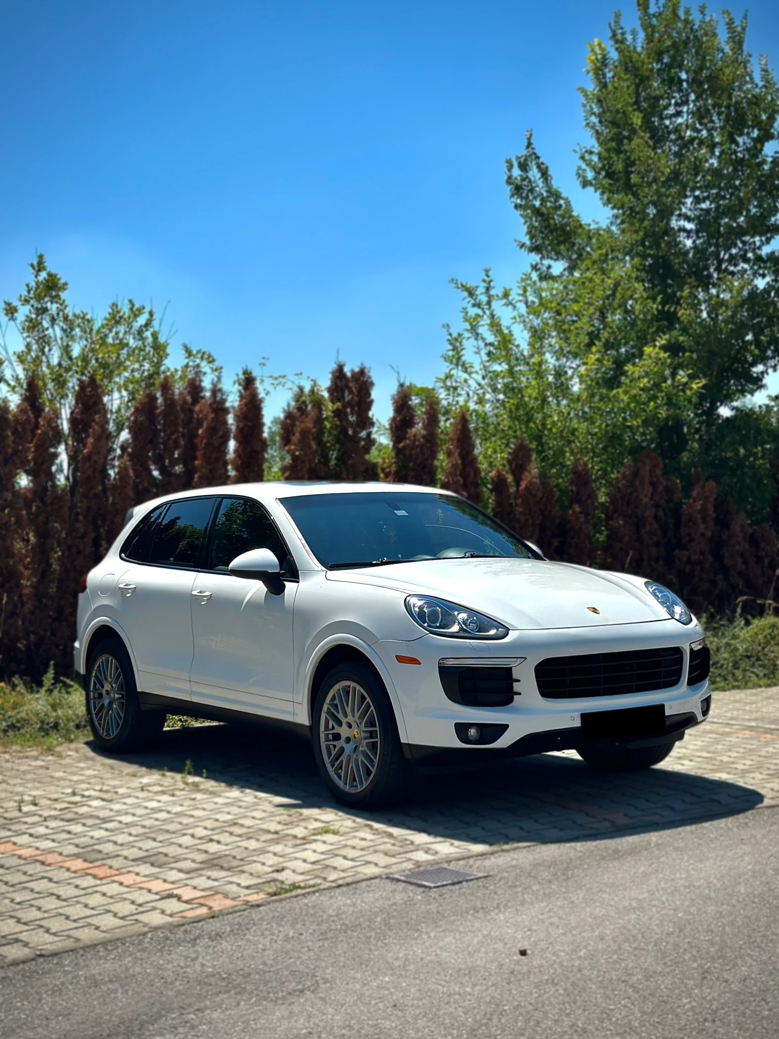 Porsche Cayenne 3.6 V6 Platinum Edition / ЛИЗИНГ - изображение 3