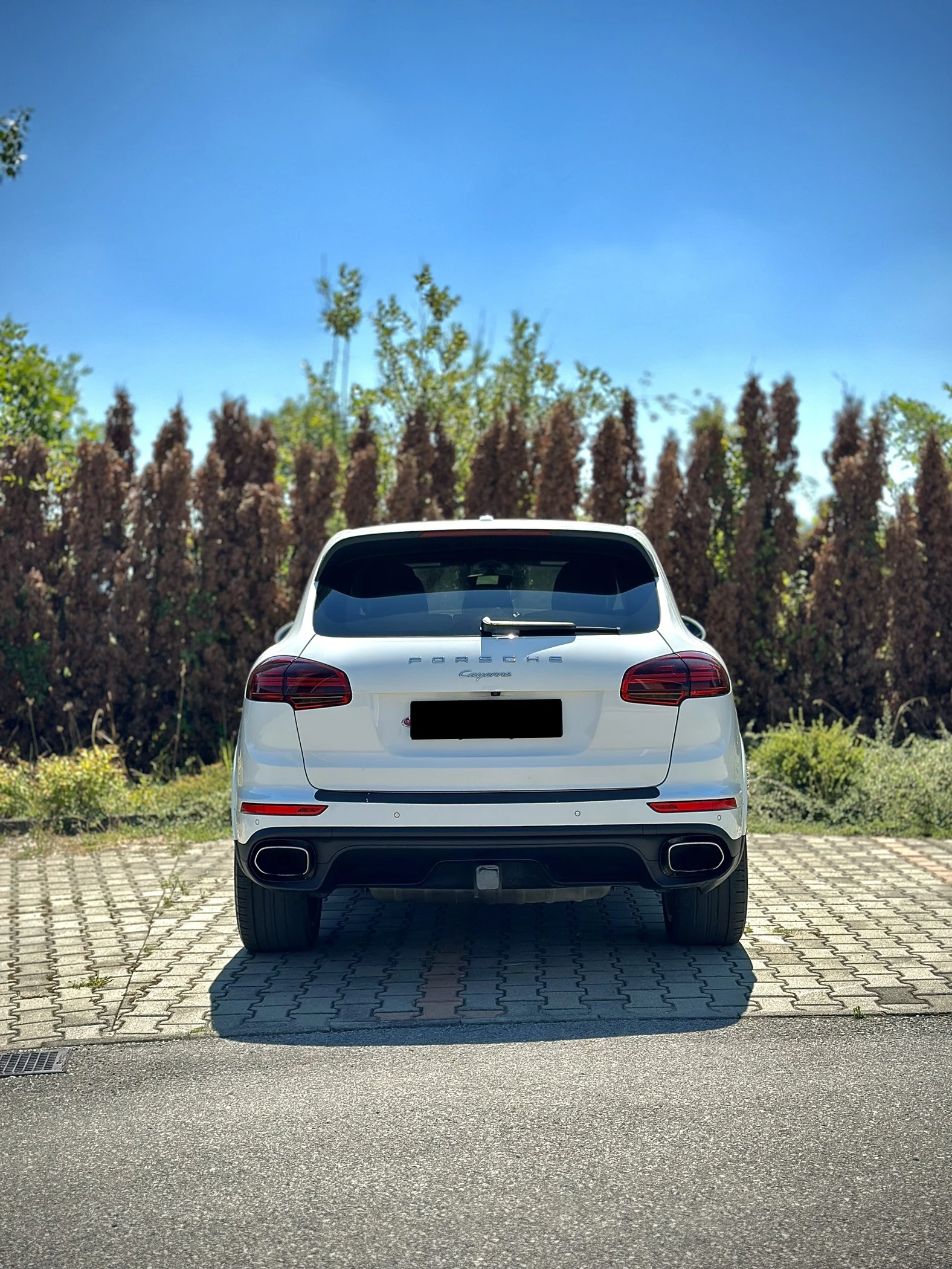 Porsche Cayenne 3.6 V6 Platinum Edition / ЛИЗИНГ - изображение 5