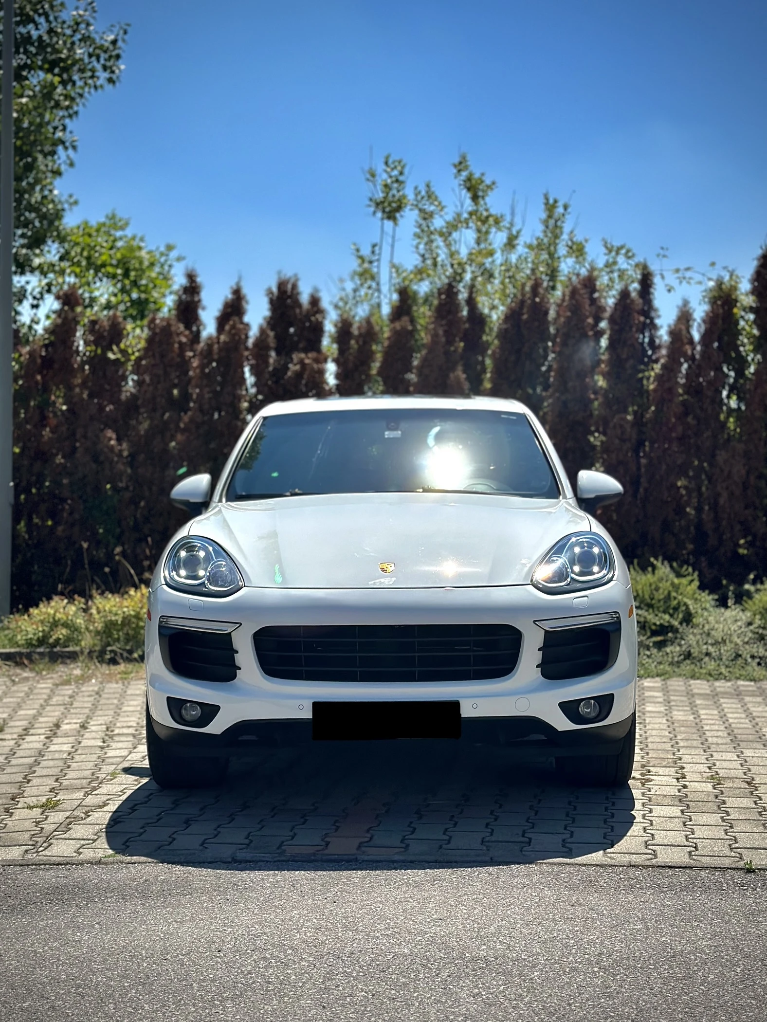 Porsche Cayenne 3.6 V6 Platinum Edition / ЛИЗИНГ - изображение 2