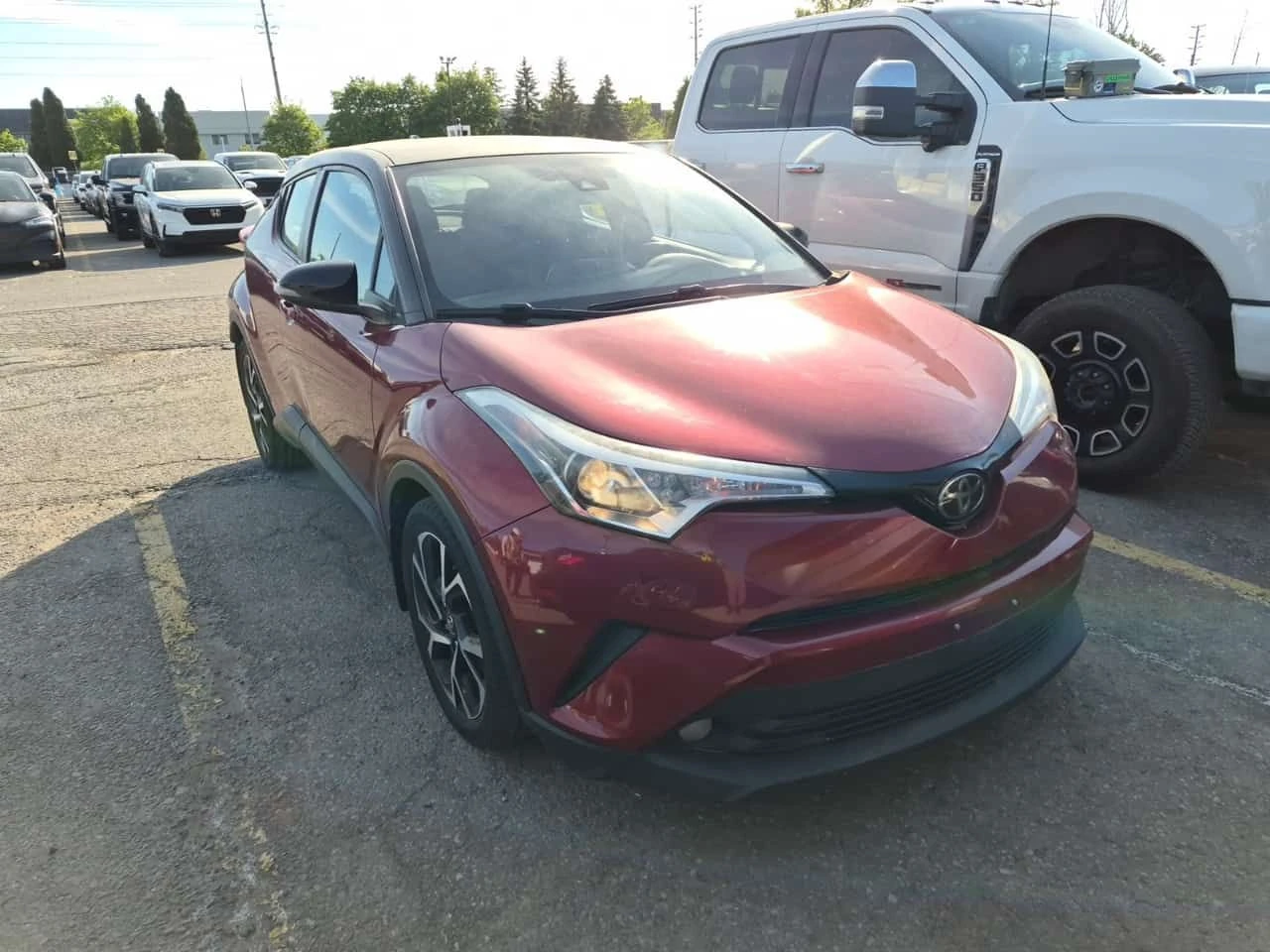 Toyota C-HR * XLE * ���������� ��� ������������ ������*  | Mobile.bg � ����������� 2