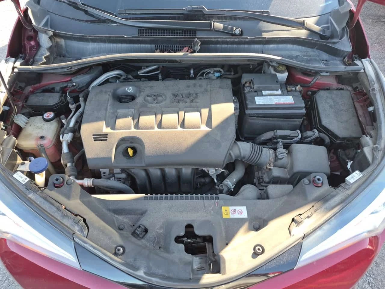 Toyota C-HR * XLE * ���������� ��� ������������ ������*  | Mobile.bg � ����������� 17