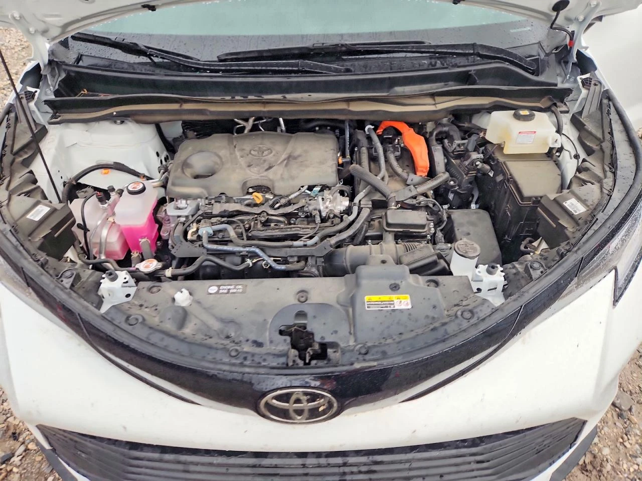 Toyota Sienna 2.5l Woodland Edition | Mobile.bg � ����������� 12