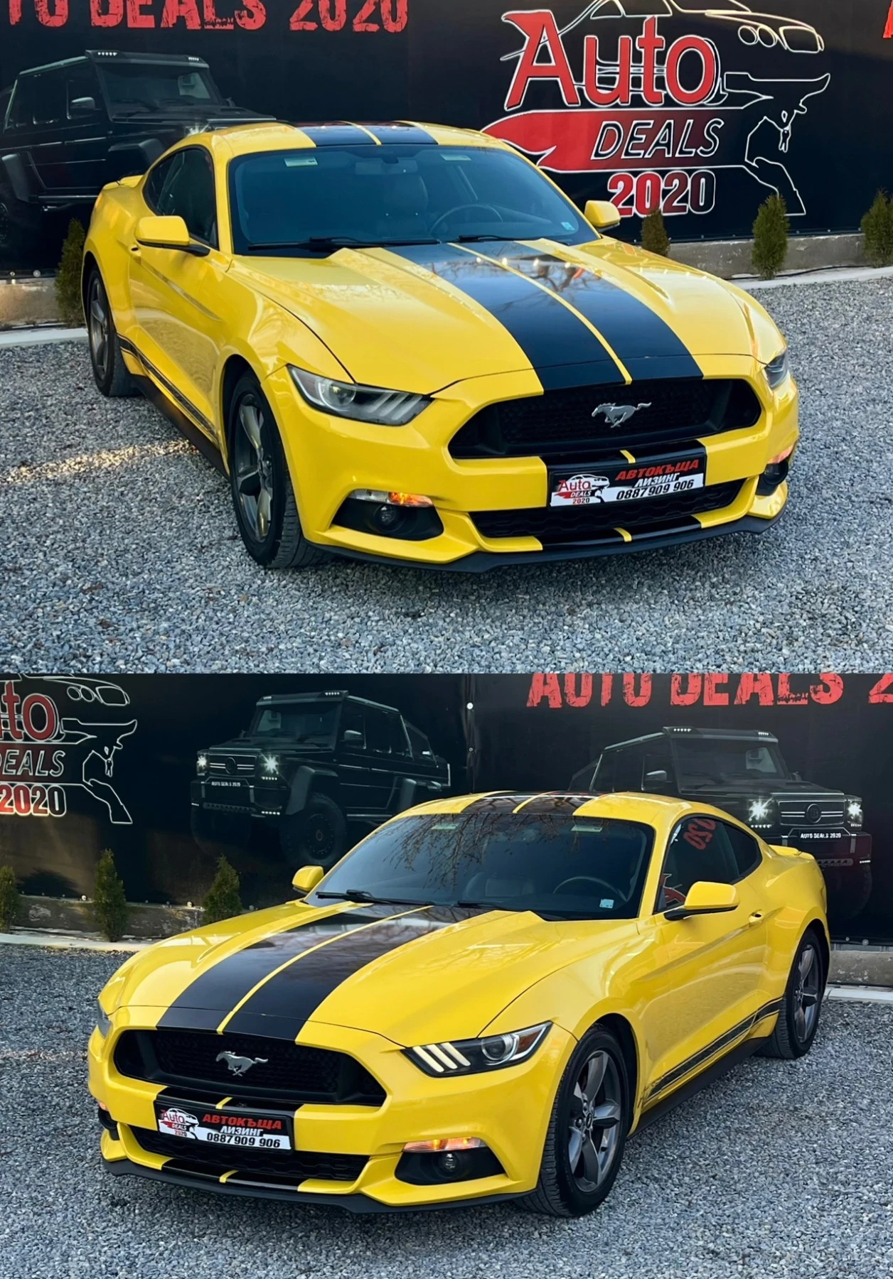 Ford Mustang 2.3 ECO BOOST* KEYLESS* TOP*   | Mobile.bg   3