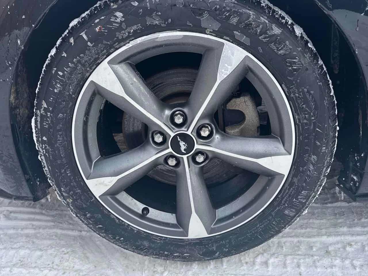 Ford Mustang V6/CARFAX/KEYLESS | Mobile.bg � ����������� 6