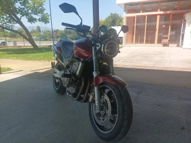     Honda Hornet