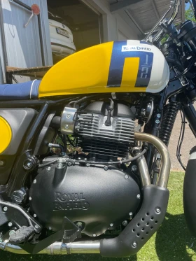 ����� �� �������� �� Royal Enfield Bear 650 Wild Honey 