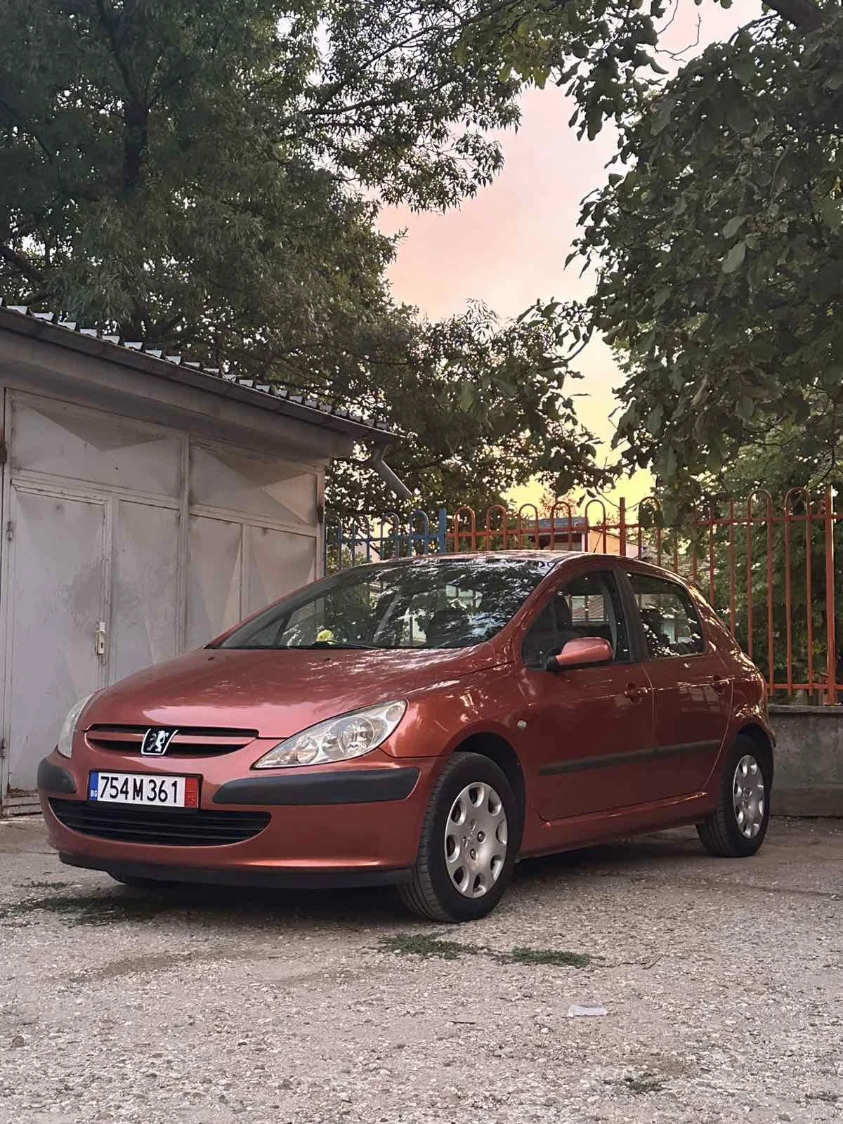 Peugeot 307 2.0HDI - изображение 5