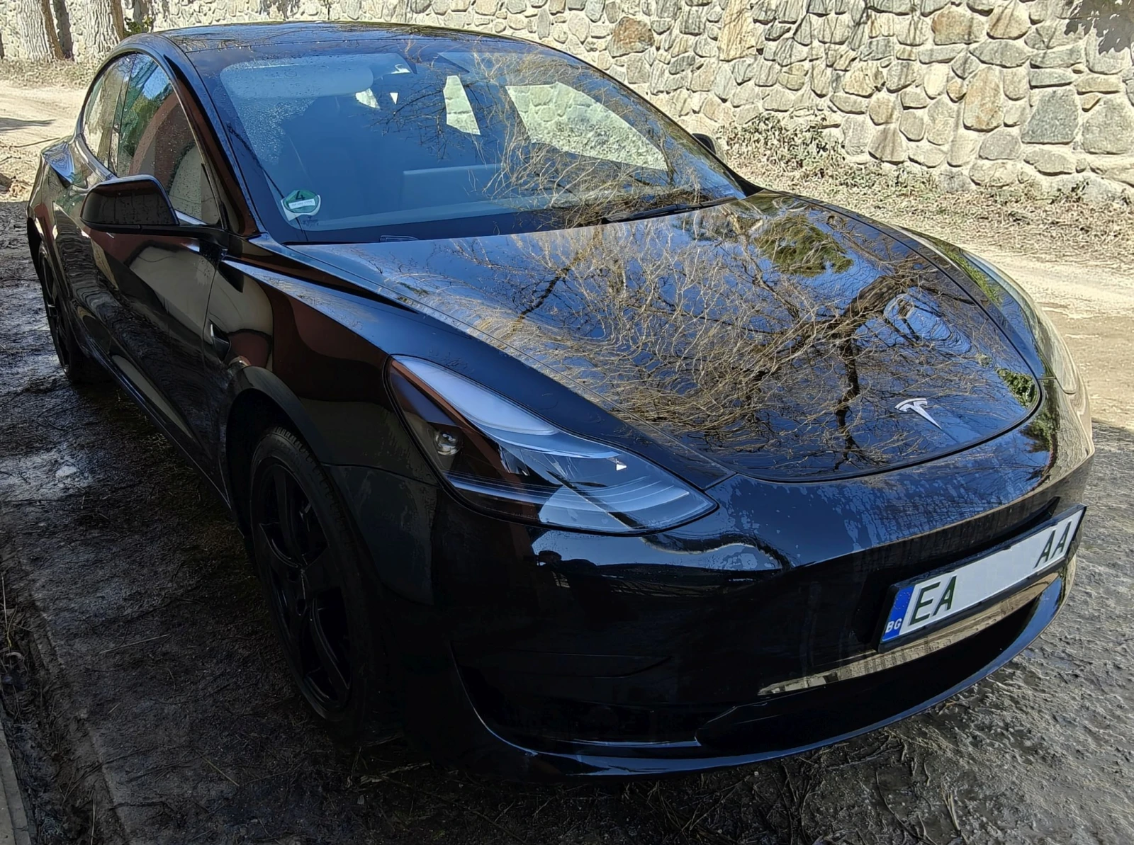 Tesla Model 3, снимка 2 - Автомобили и джипове - 53845001