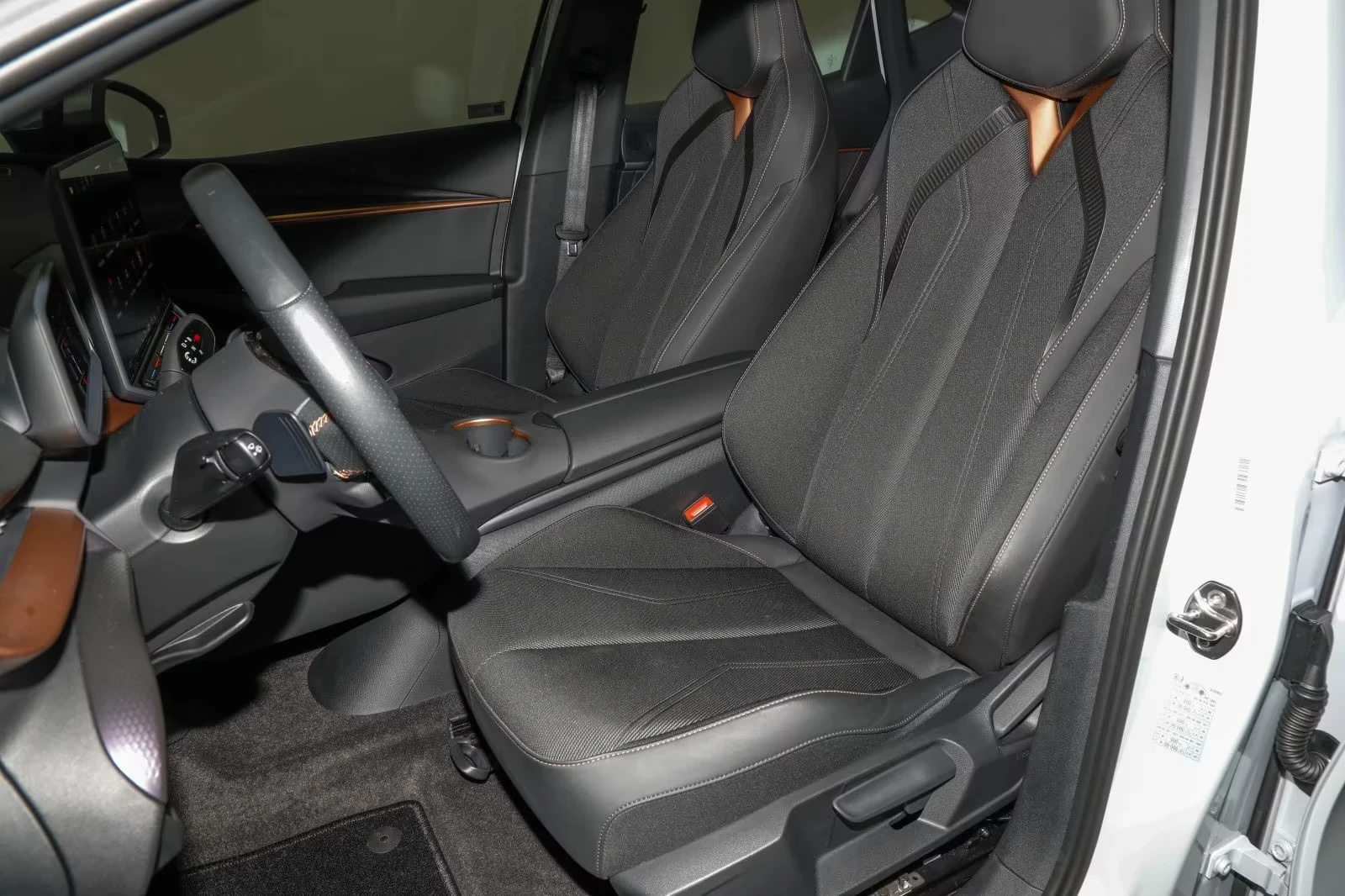 Cupra Tavascan Endurance 82kWh DISTRONIC Winter Pack Blind Spot , снимка 10 - Автомобили и джипове - 54181217