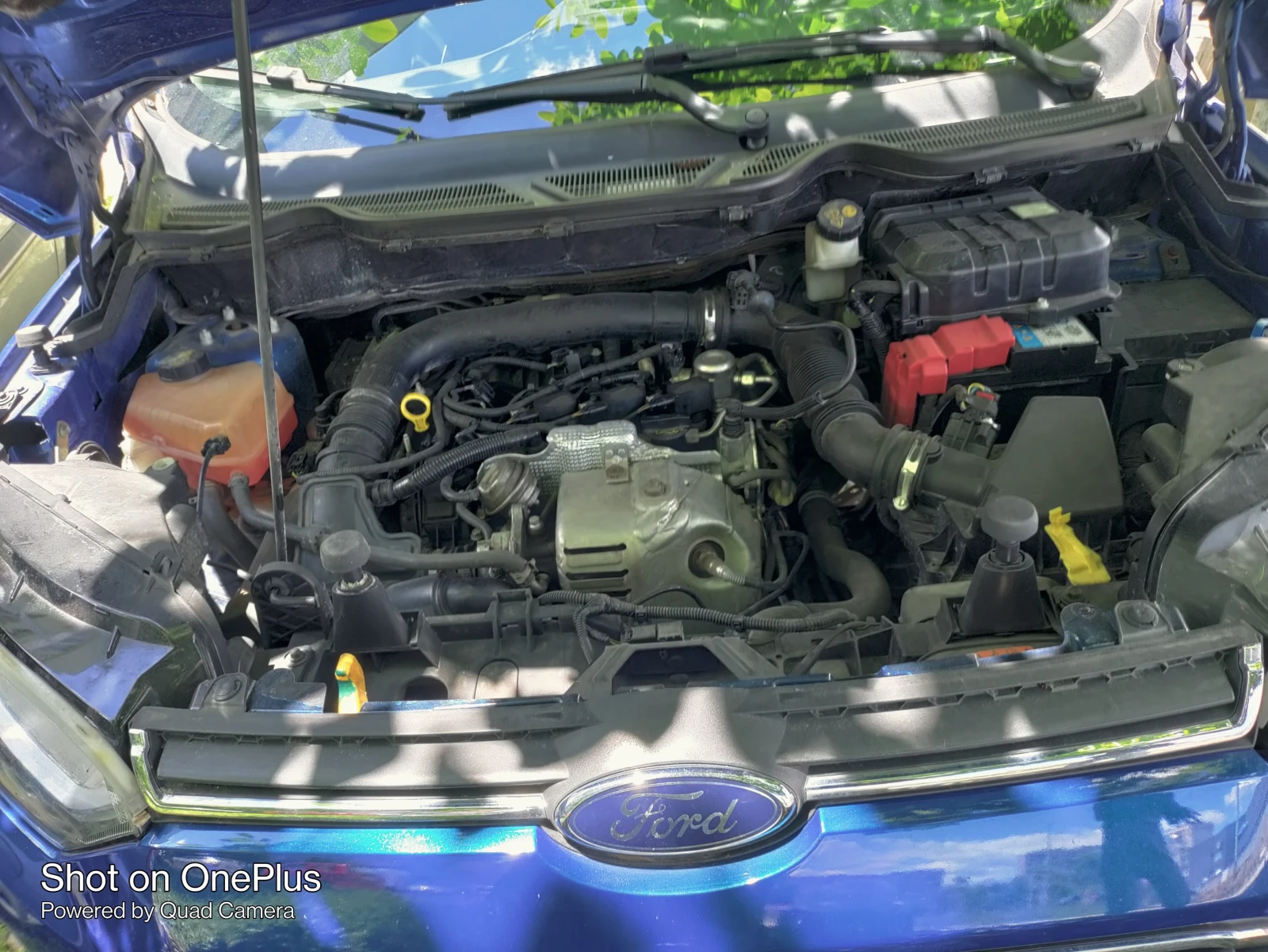 Ford EcoSport  - изображение 2