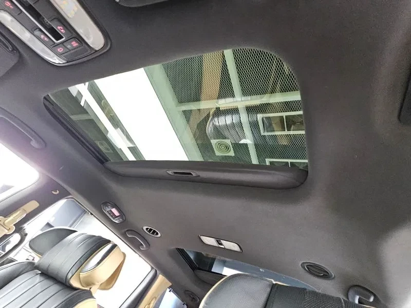 Kia Carnival Gasoline 7-Seater Limousine President | Mobile.bg � ����������� 17