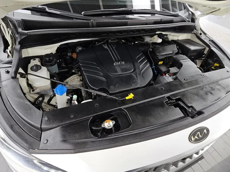 Kia Carnival Gasoline 7-Seater Limousine President | Mobile.bg � ����������� 6