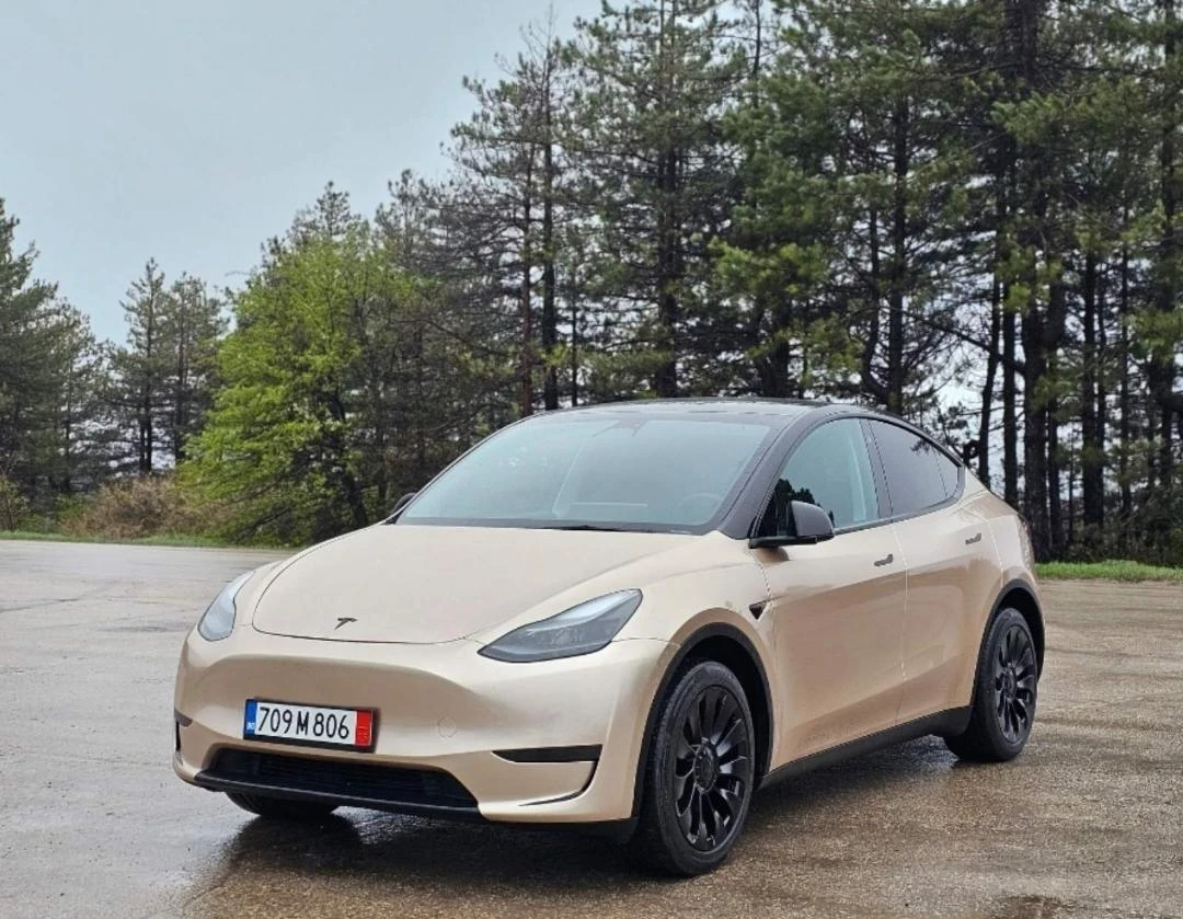 Tesla Model Y Long Range 4x4 Full Warranty, снимка 1