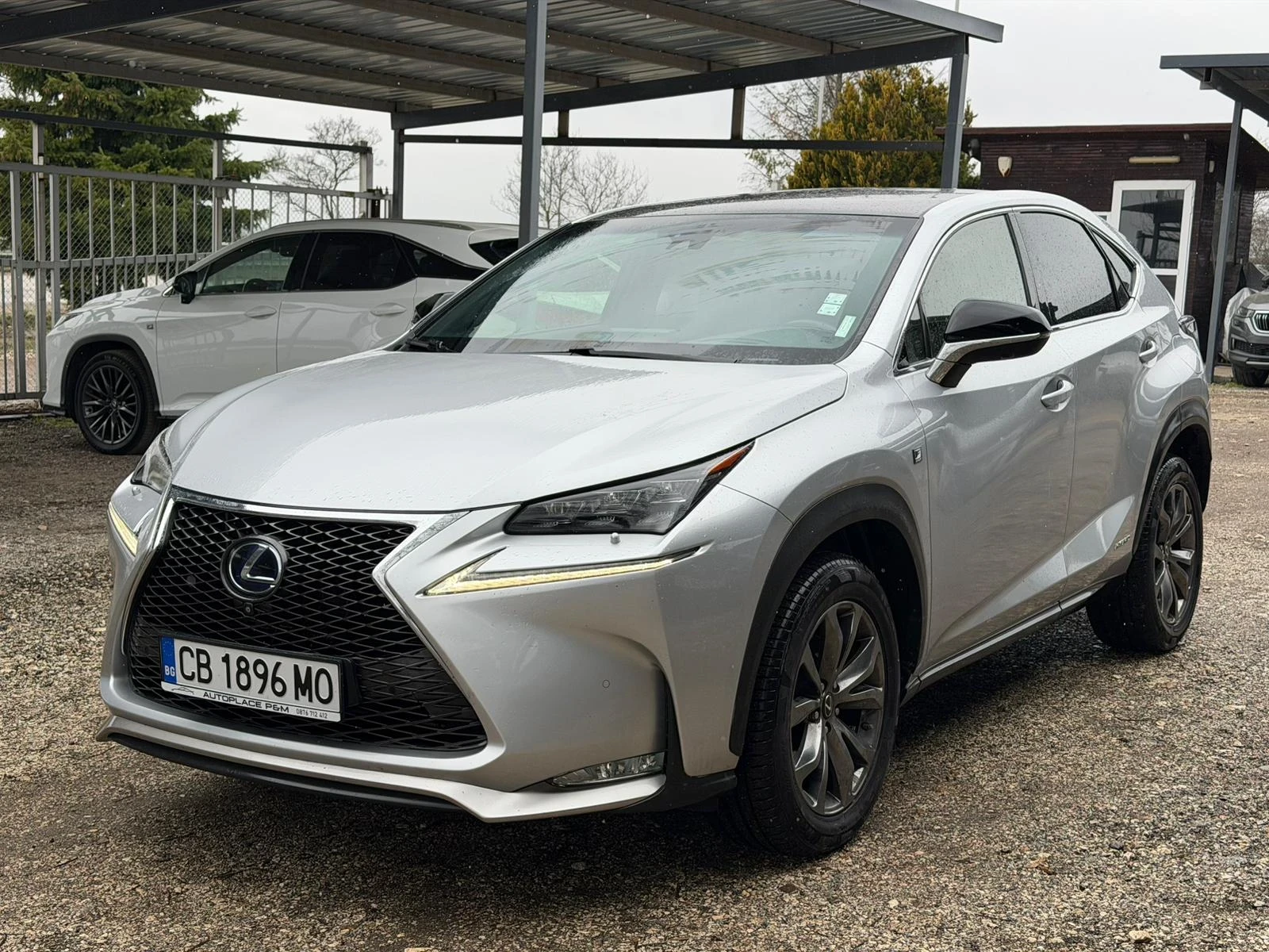 Lexus NX 300h F Sport/360Camera/Panorama/BSM/Distronic/ML sound 