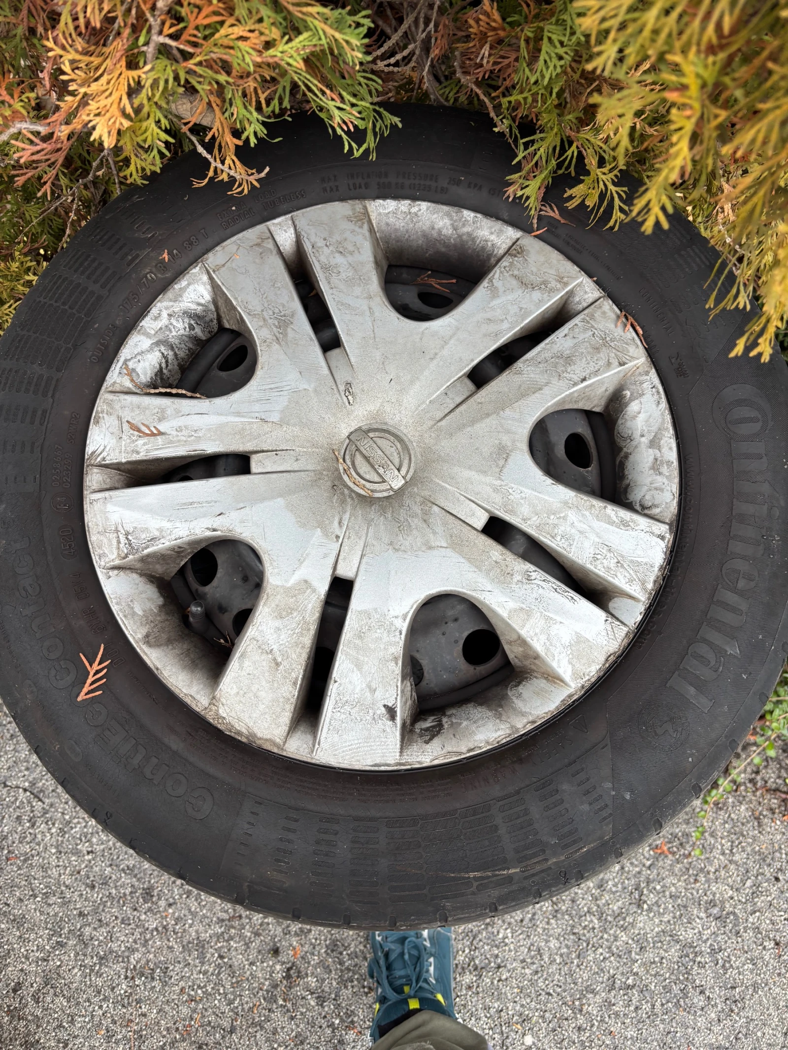 Nissan NV200 1.5dci-135000km | Mobile.bg � ����������� 12