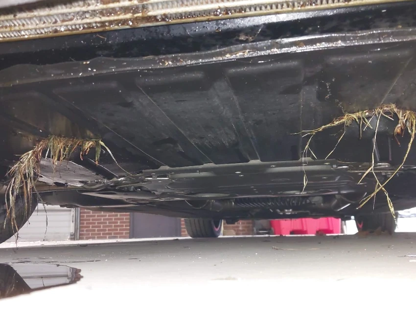 BMW M5 COMPETITION* SOFTCLOSE* Bowers & Wilkins* MA��� | Mobile.bg � ����������� 10