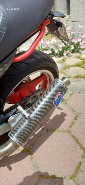 Ducati Monster 695 | Mobile.bg � ����� ������ 8