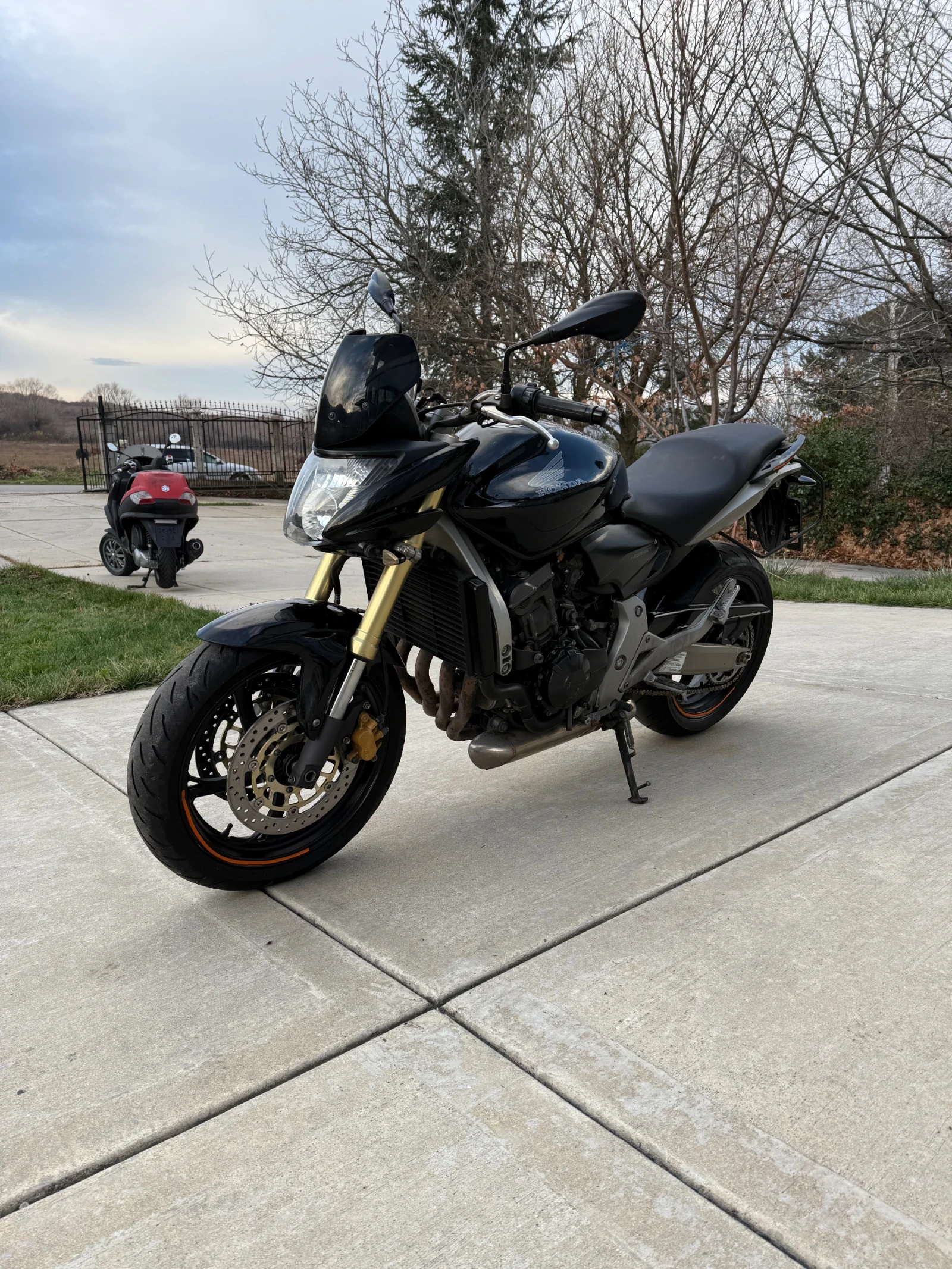 Honda Hornet  - изображение 4