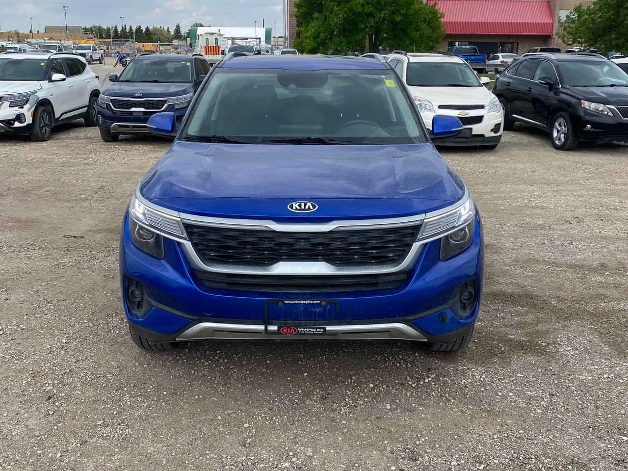 Kia Seltos EX | CARFAX | ������ ���������������� �� KIA | Mobile.bg � ����������� 6