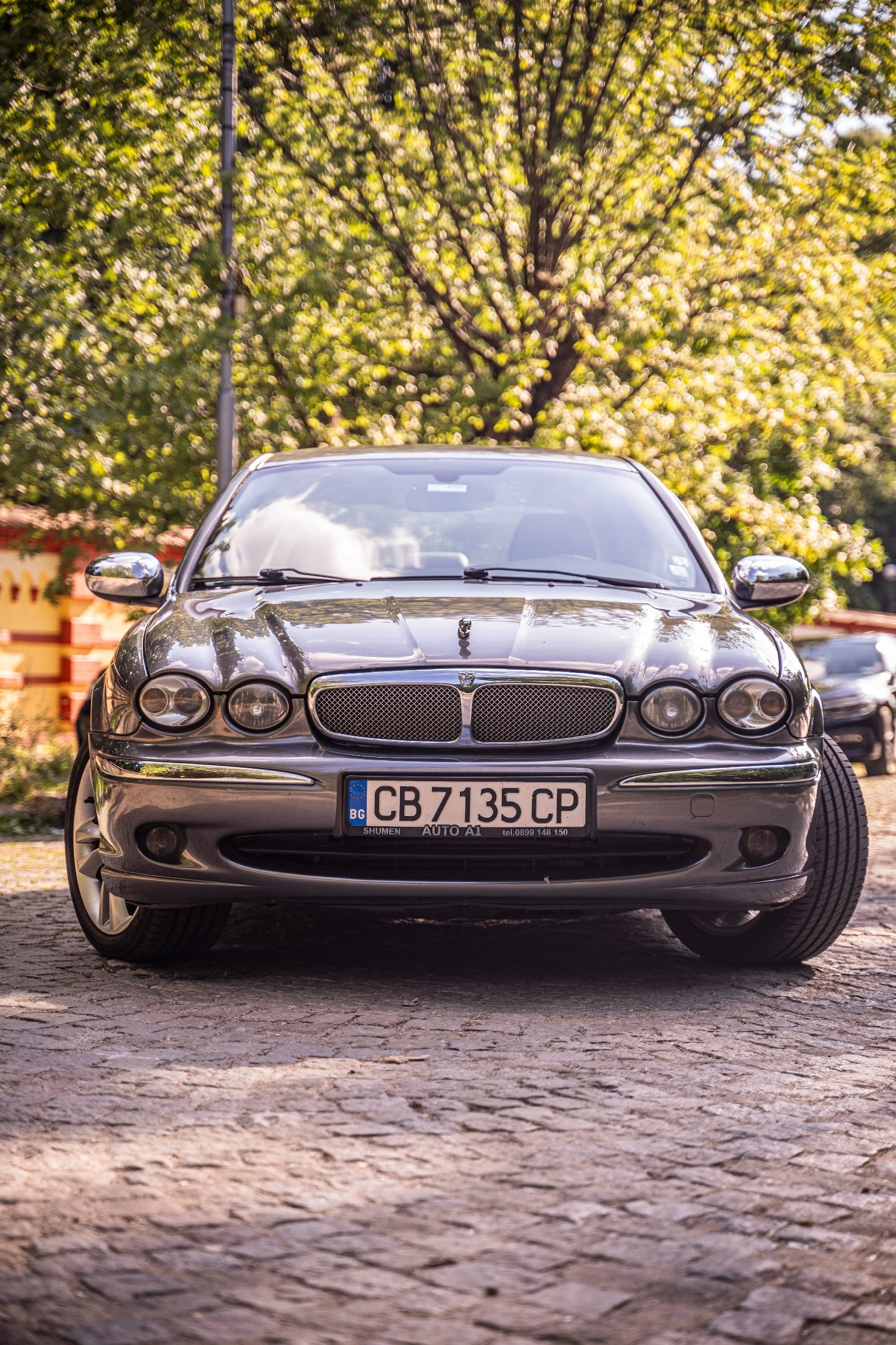 Jaguar X-type Executive - изображение 3