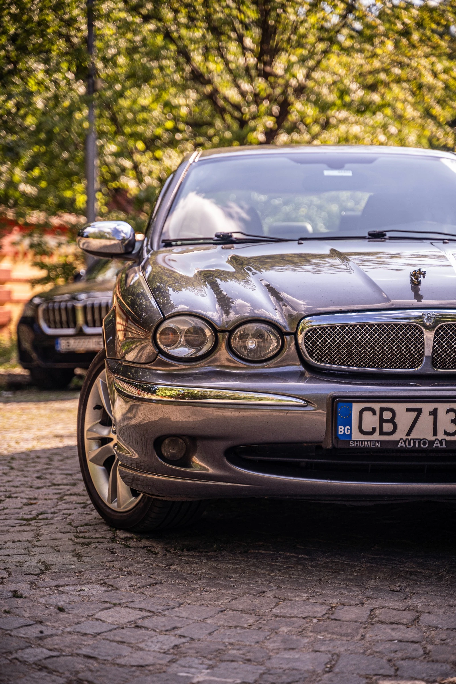 Jaguar X-type Executive - изображение 2