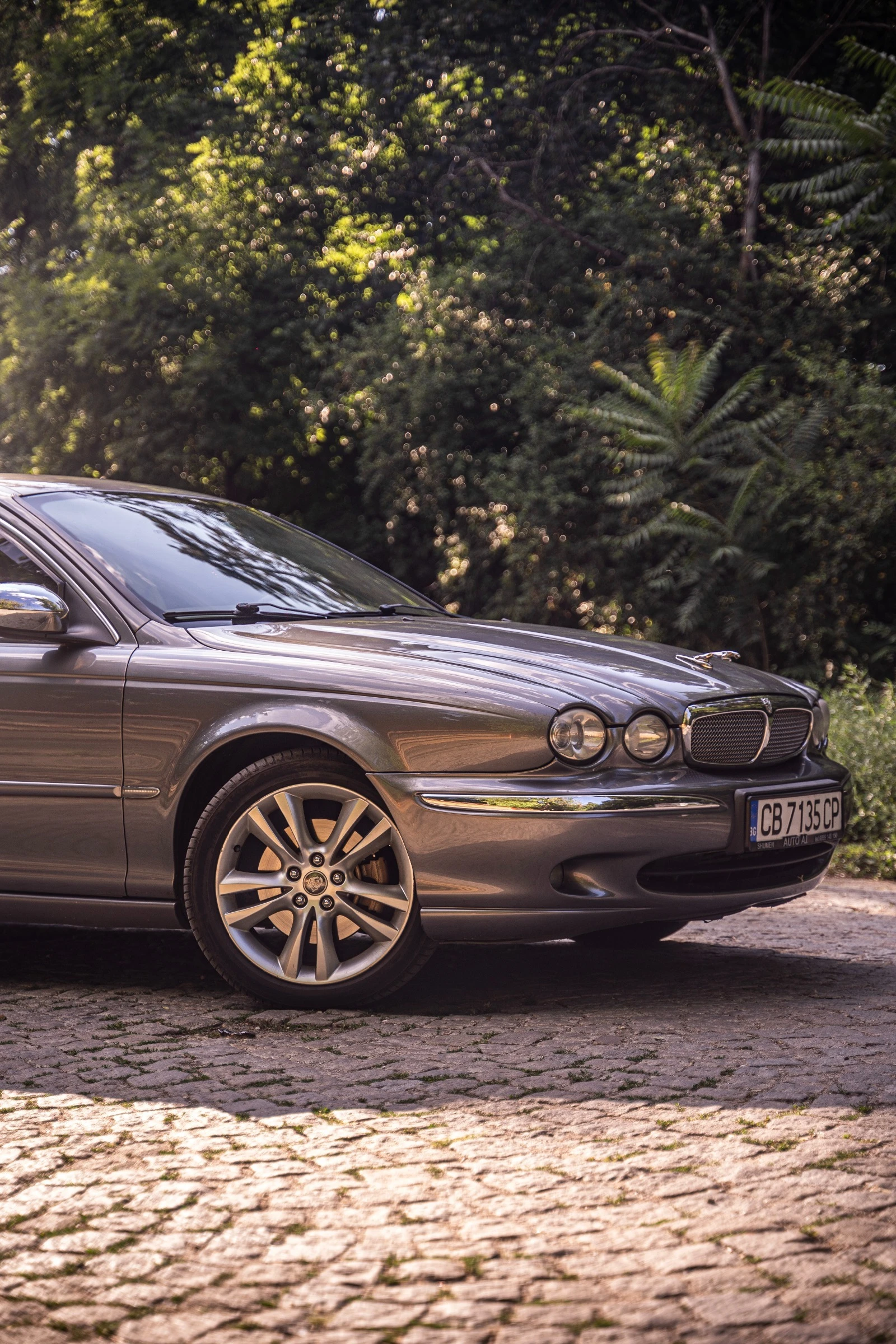 Jaguar X-type Executive - изображение 4