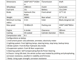 Обява за продажба на Други Бъги 300cc модел 2025 г. ~10 300 лв. - изображение 6