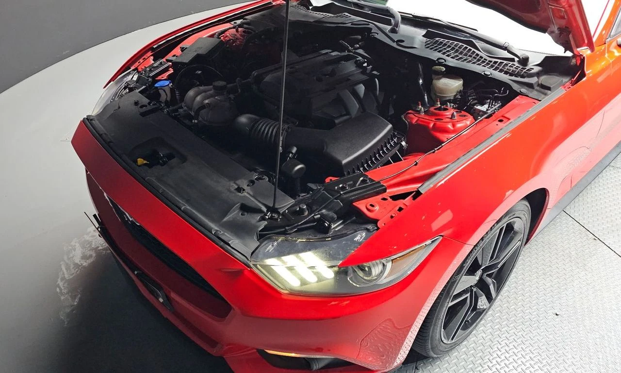 Ford Mustang 2.3* ECO* BOOST* �������* ���������* ������* ����* | Mobile.bg � ����������� 16