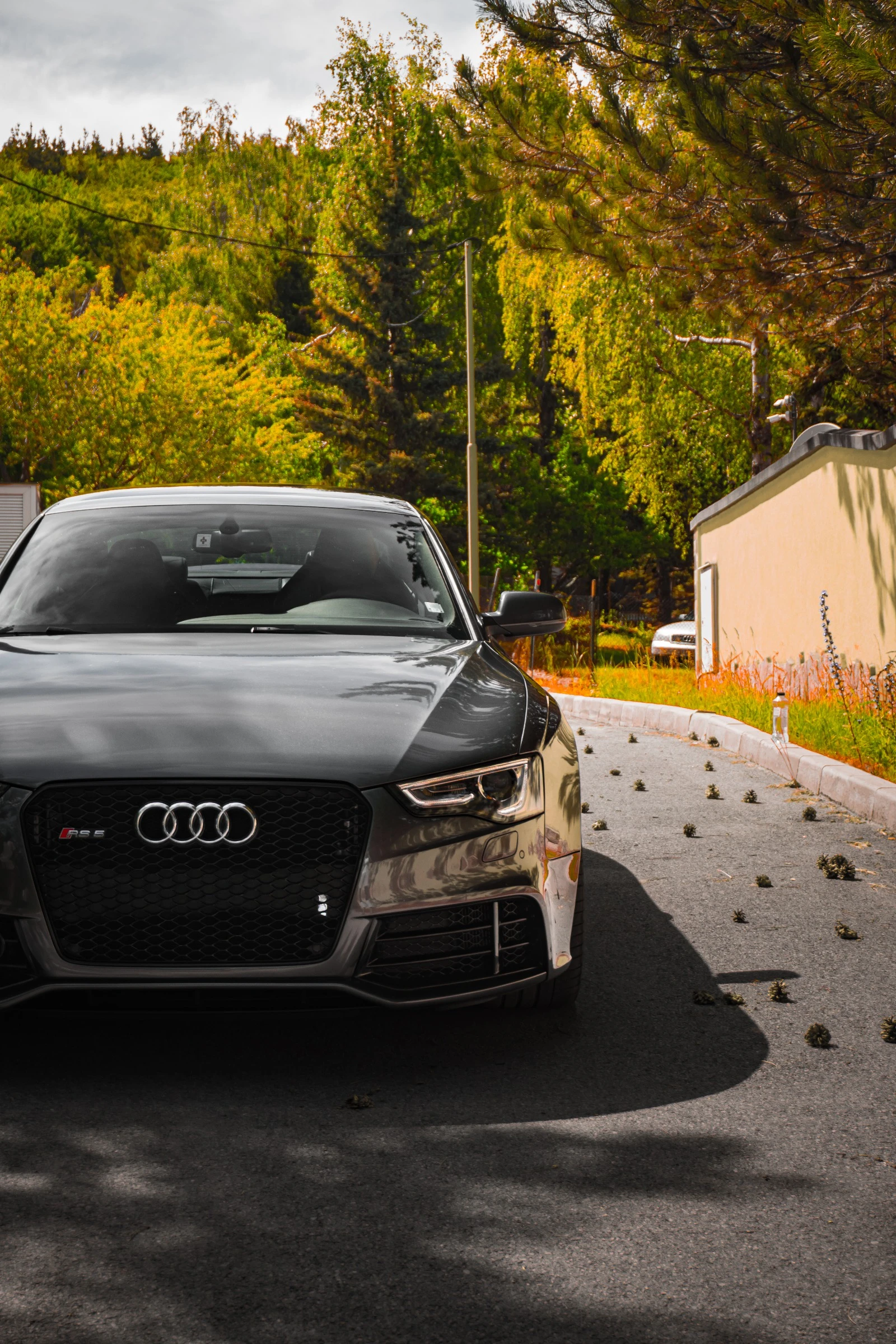 Audi Rs5, снимка 3 - Автомобили и джипове - 54856838