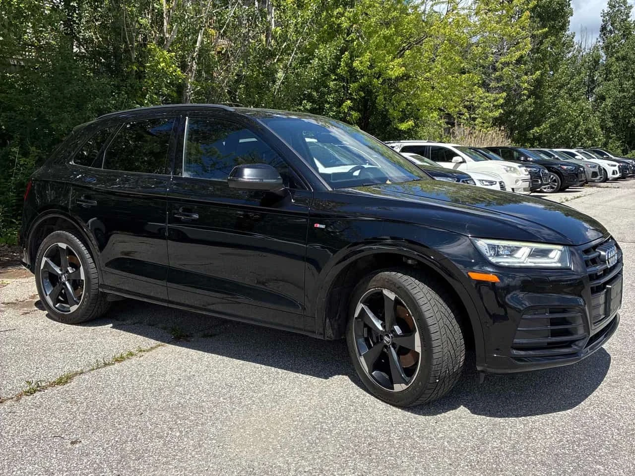 Audi Q5  Progressiv/ BLACK OPTIC S-LINE / CARFAX /  , снимка 3 - Автомобили и джипове - 55670849