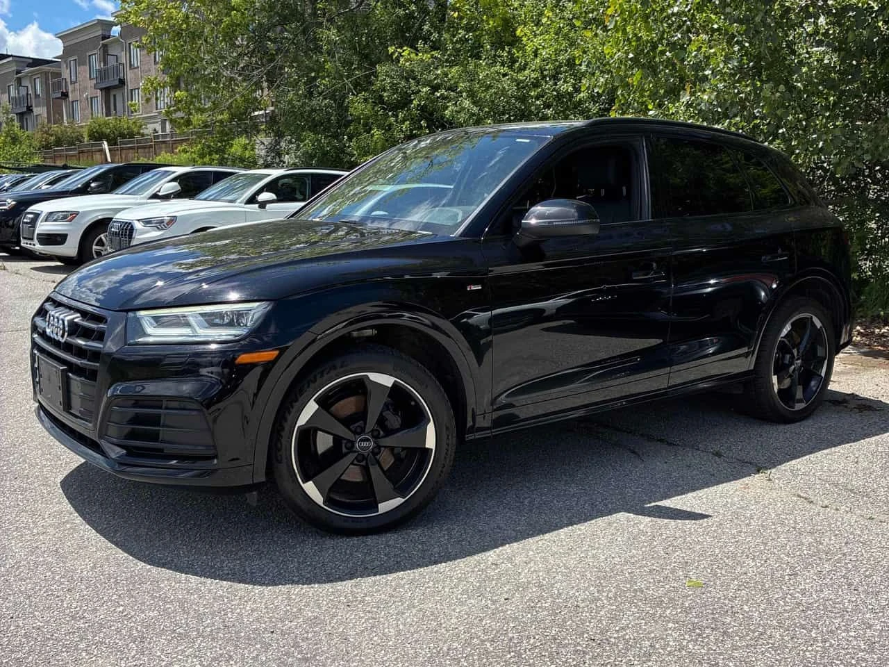 Audi Q5  Progressiv/ BLACK OPTIC S-LINE / CARFAX /  , снимка 2 - Автомобили и джипове - 55670849