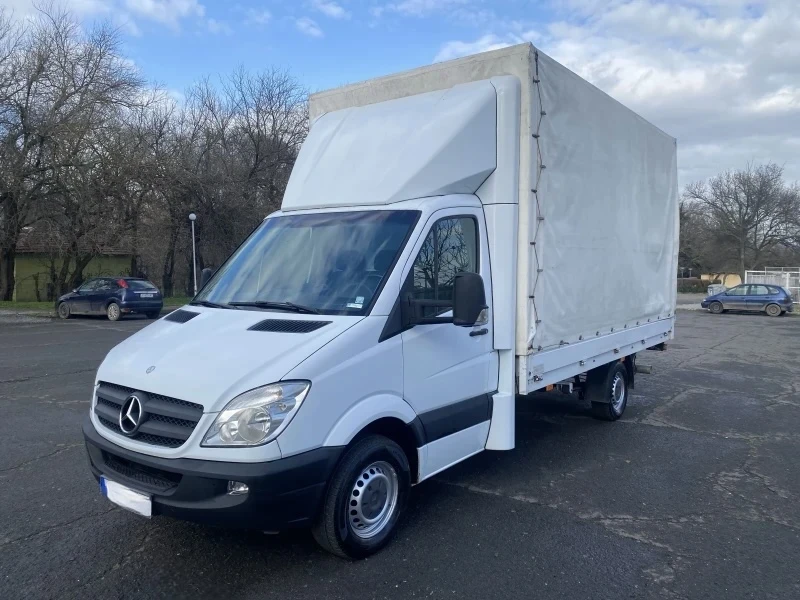 Mercedes-Benz Sprinter 316 Падащ борд, снимка 3 - Бусове и автобуси - 54652169