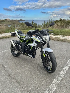 Kawasaki Z, снимка 1