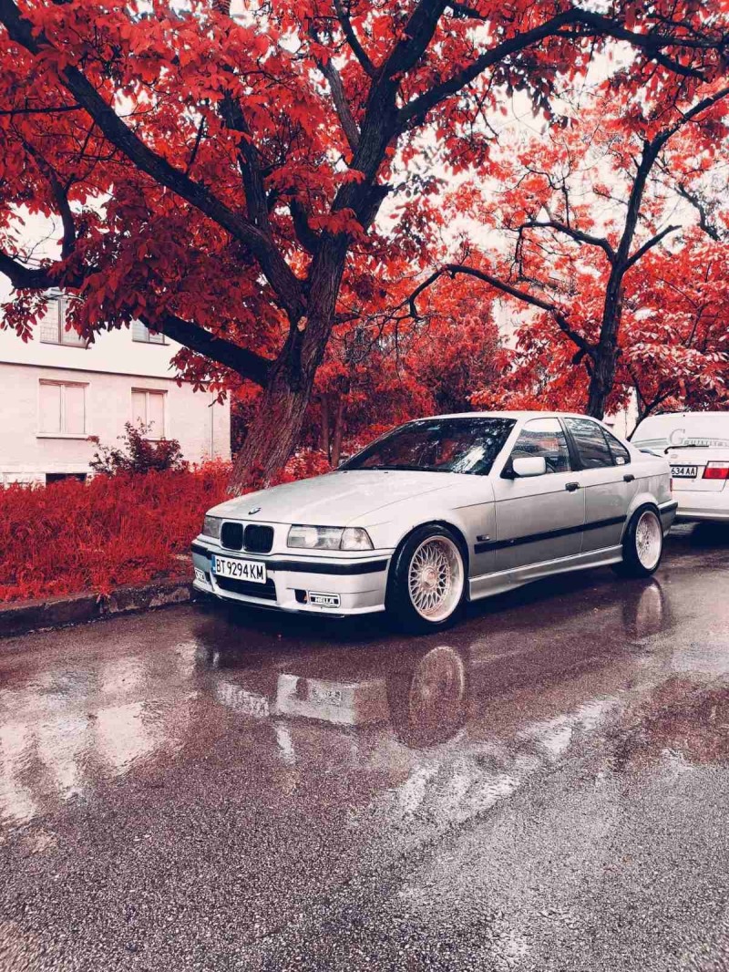 BMW 320, снимка 4 - Автомобили и джипове - 46277164