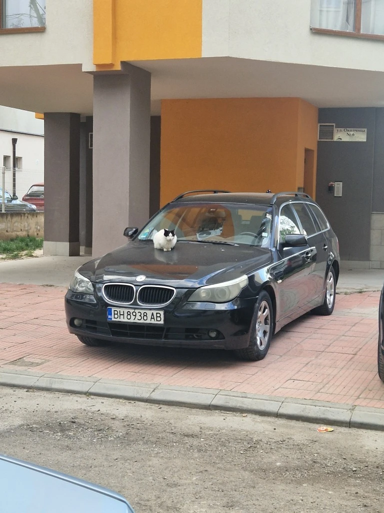 BMW 525