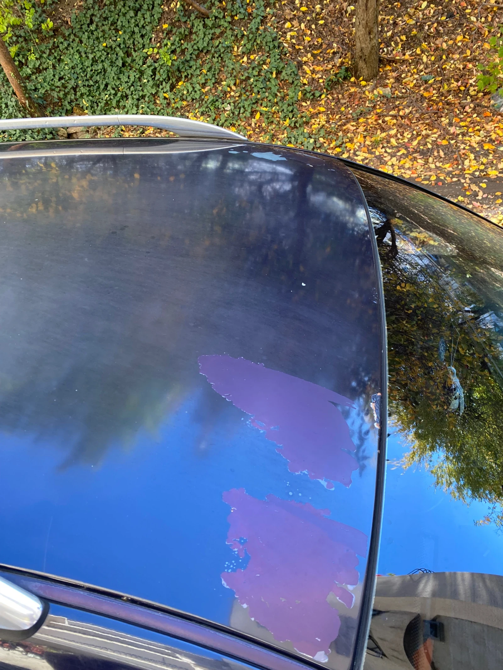 Audi A6 | Mobile.bg   16