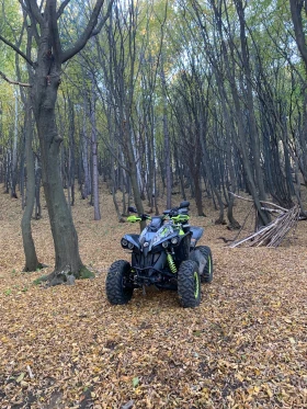 Can-Am Renеgade 1000, снимка 4