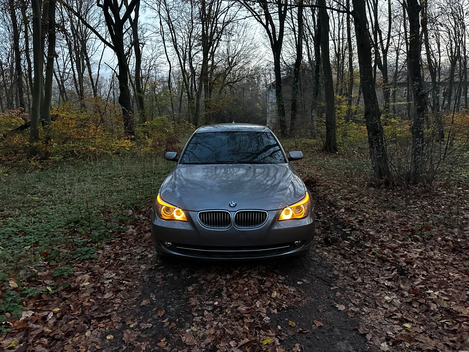BMW 530 | Mobile.bg   1