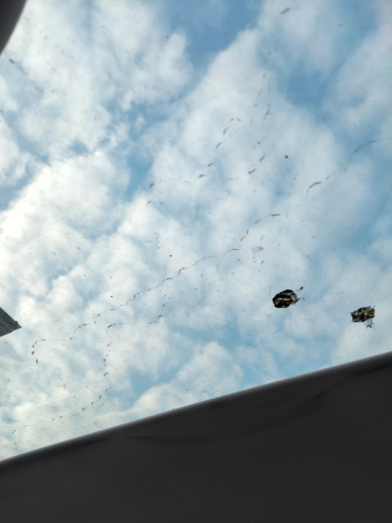 Peugeot 308 1.6 HDI  | Mobile.bg � ����������� 15