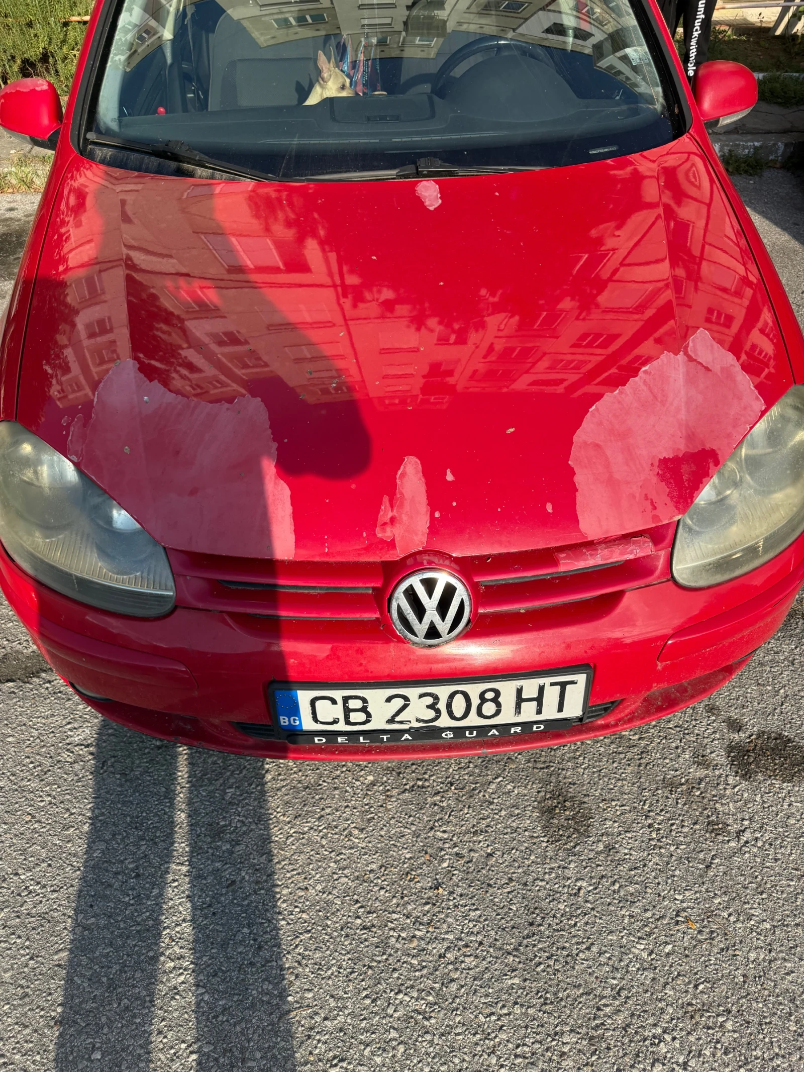 VW Golf Golf 5, снимка 8 - Автомобили и джипове - 56247932